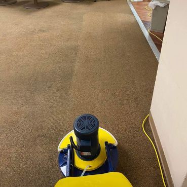 carpet cleaning in process with yellow carpet cleaner