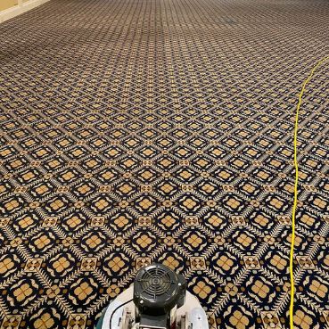 cleaning buildings carpet