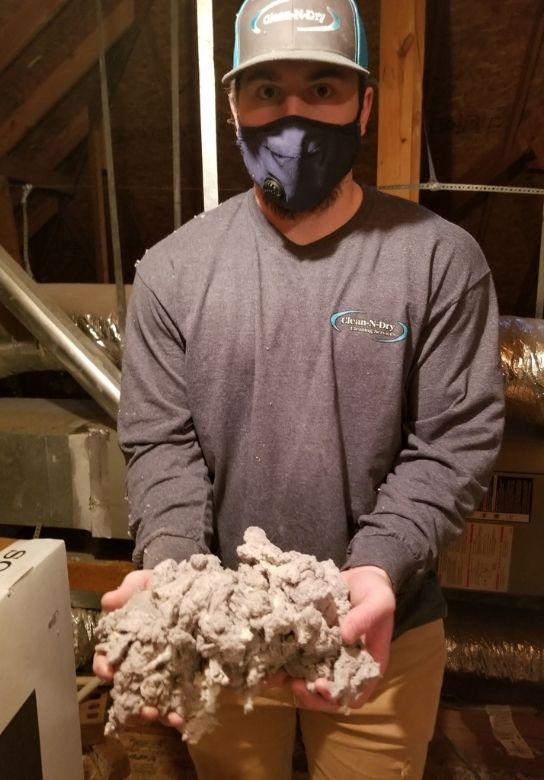 pile of dust and lint
