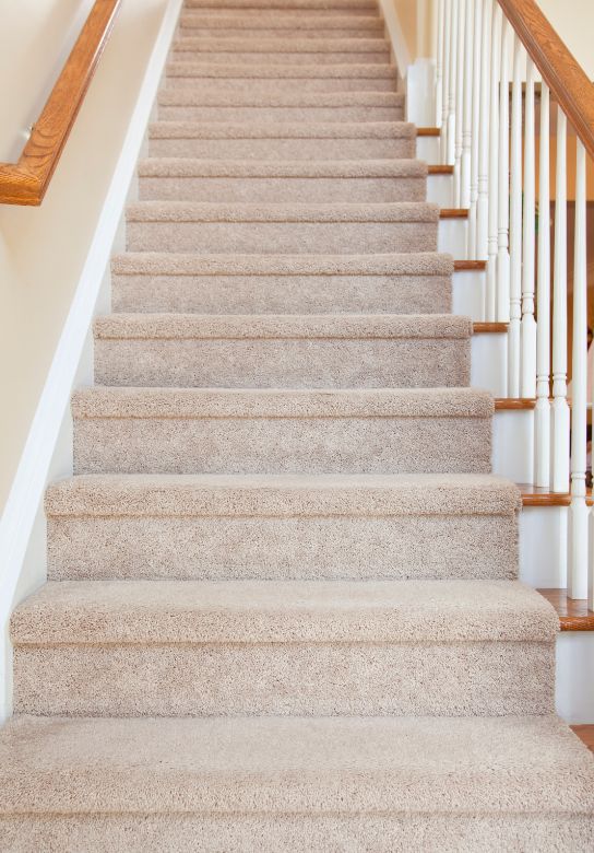 carpetted stairs