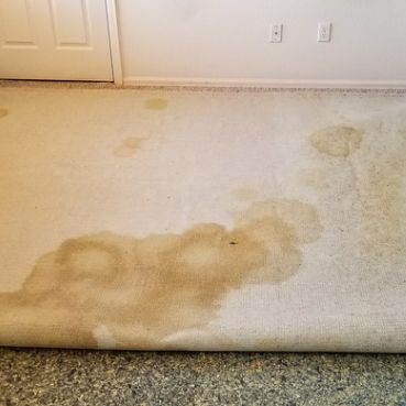 stained residential carpet in mid-cities