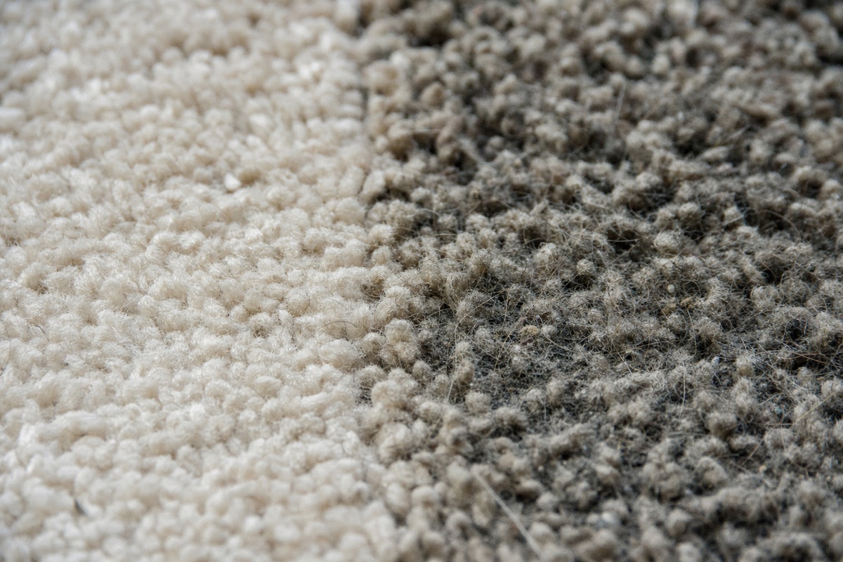 Close-up of carpet fibers with dust and grit embedded deep at the base